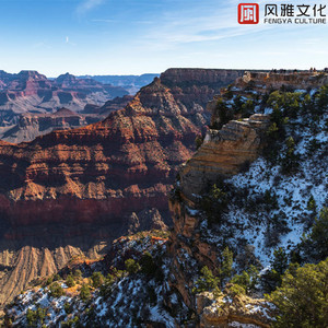 ▓草莓视频app成人▓
